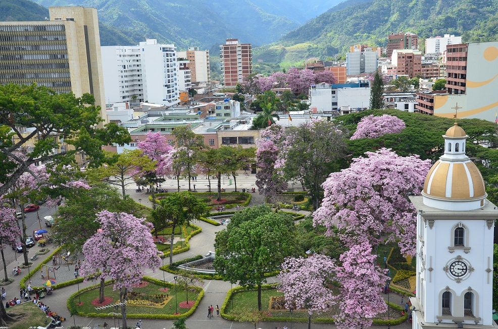Gestor Catastral Ibagué